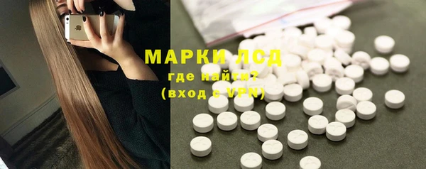 прущие грибы Армянск