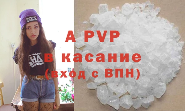 прущие грибы Армянск