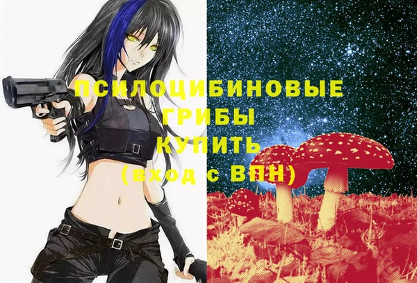 прущие грибы Армянск