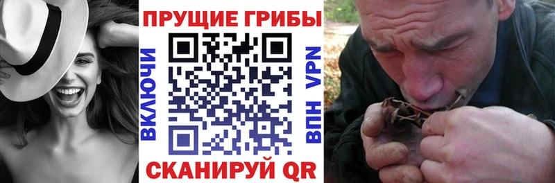 МЕГА как зайти  где купить   Ярцево  Псилоцибиновые грибы прущие грибы 