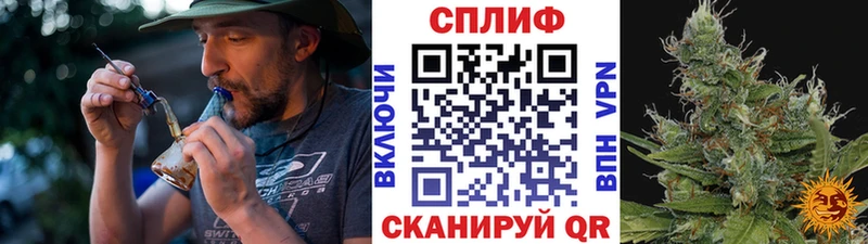 Каннабис OG Kush Ярцево